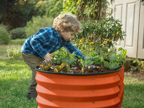 Child in garden with Open Base Galvanized Raised Garden Bed For Outdoor Use 4 By 2 By 1 Ft Planter For Veggies Flowers And Herbs Orange Metal Garden Box