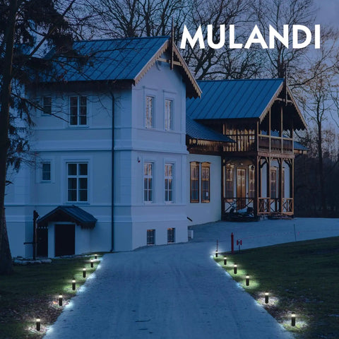 8 Pack 2W LED Landscape Bollard Pathway Lights 12V Low Voltage Outdoor Waterproof Garden Lighting highlighting driveway