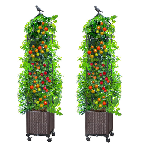 2 Pack Raised Garden Bed Planter Box With Trellis 63 Inch Tall Outdoor Tomato Planters For Climbing Vegetables Flowers And Vines