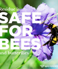 Bee on flower with text about yard spray being safe for bees and butterflies. Flea Tick And Mosquito Yard Spray With Natural Essential Oils.