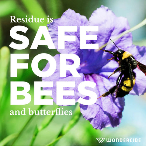 Bee on flower with text about yard spray being safe for bees and butterflies. Flea Tick And Mosquito Yard Spray With Natural Essential Oils.