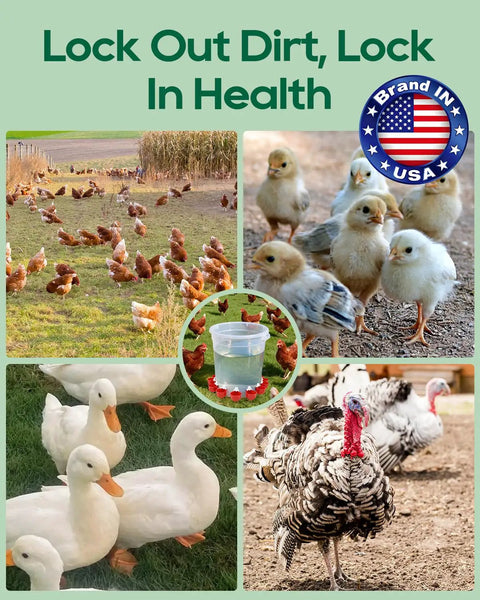 68 Piece Sleek Chicken Waterer Cups Delivering No Sweat Automatic Leak Proof Poultry Watering Station With Tee Fittings And Hole Opener For Rock Solid Hydration In Vibrant Red shown with healthy chickens, ducks, and turkeys.