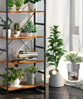 Stealth Mini Flower Pot Safe With Realistic Plant Deco And Key Lock Secret Stash Box For Cash Keys Phones on a shelf.