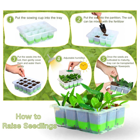 Steps to use Silicone Seed Starter Tray With Humidity Dome Indoor Seedling Kit 5 Pack 60 Cell Germination Trays Adjustable Vent