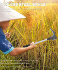 Person using Long Handled Weeding Sickle With Wooden Handle Multipurpose Manual Garden Tool For Lawn Care Weeding Harvest And Soil Prep Anti Slip Grip For Comfortable Easy Weeding in a rice field
