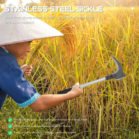 Person using Long Handled Weeding Sickle With Wooden Handle Multipurpose Manual Garden Tool For Lawn Care Weeding Harvest And Soil Prep Anti Slip Grip For Comfortable Easy Weeding in a rice field