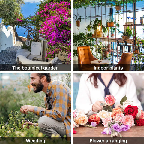 Collage of outdoor botanical garden, indoor plant setup, person weeding, and individual arranging flowers on table.