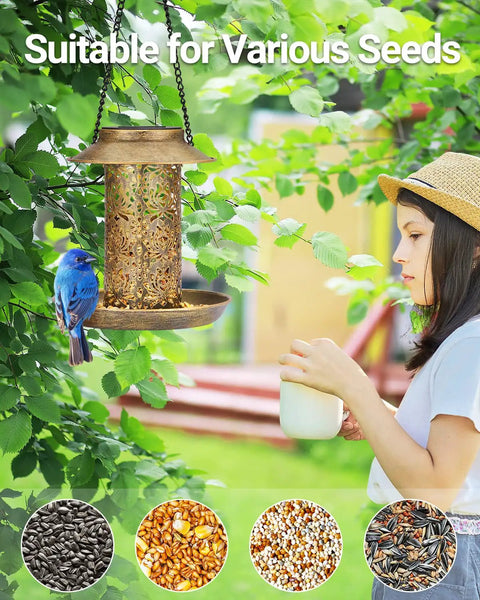 Solar Bird Feeder For Outdoors Hanging And Garden Lantern Style Metal Wild Bird Feeder With S Hook Gift For Bird Lovers Heavy Duty Two Pound Capacity Keeps Seed Level Visible And Doubles As Night Light Yard Friendly For Cardinals