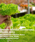 Person holding lettuce plant with roots visible, surrounded by greenery, showcasing growth benefits with CastleGreens logo.