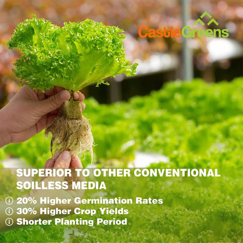 Person holding lettuce plant with roots visible, surrounded by greenery, showcasing growth benefits with CastleGreens logo.