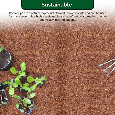 Coco Coir Organic Top Soil For Indoor And Outdoor Plants From A 4 Brick Pack That Expands To 10 Gallons shown in garden setup.
