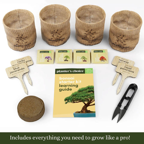 All In One Bonsai Growing Kit For Beginners With Seeds Norway Spruce Royal Poinciana Blue Jacaranda And Rocky Mountain Pine Burlap Pots And Easy Care Guide, showing burlap pots, seed packets, soil disc, markers, clipper, and guide.
