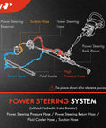 Diagram of power steering system showing hose connections without hydraulic brake booster, fluid cooler, suction, and return hoses.