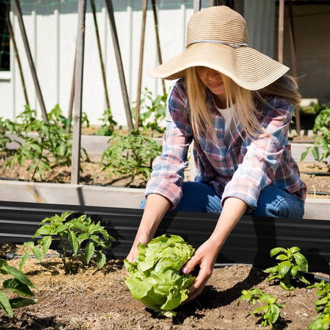 Gardener planting in Durable Galvanized Steel Raised Garden Bed For Outdoor Gardens 8x4 Feet Open Bottom Planter Box