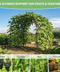Tall 88 Inch Garden Arch Trellis For Climbing Plants Outdoor Metal Archway That Looks Boss covered in cucumber vines in garden