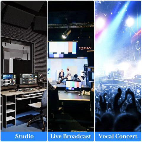 12-Channel Studio Mixer With USB Interface, Bluetooth, 99 DSP Effects for studio, live broadcast, and vocal concert use