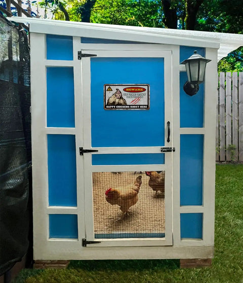 Automatic Chicken Feeder And Cup Waterer Set For Backyard Flocks No Waste Poultry Design Chicken coop with a blue exterior and door.