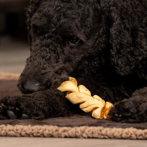Black dog chewing American Beefhide 6-Inch Braided Dog Chew Stix With Chicken Flavor, natural rawhide treats on a rug