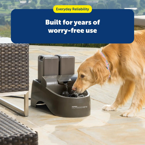 Golden Retriever drinking from Drinkwell Replacement Pump, Quiet OEM Upgrade with power adapter, reliable hydration accessory.