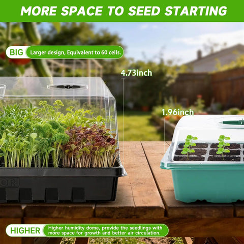 Seed Starter Tray Kit For Seedlings With 4.72 Inch Humidity Domes Large Germination Trays showing seedlings indoors.
