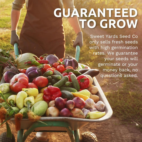 Person pushing wheelbarrow filled with fresh vegetables in a garden with text overlay about guaranteed seed germination.