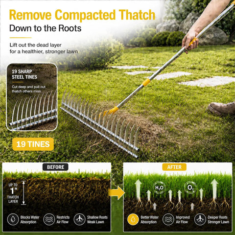 Dual Sided 15 Inch Dethatching Rake With Sharp Steel Tines And 70 Inch Adjustable Handle For Lawns shown used on grass