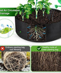 Graphic of 15 Gallon Heavy Duty Felt Fabric Grow Bag Planter For Backyard with healthy plant roots and air circulation icons.
