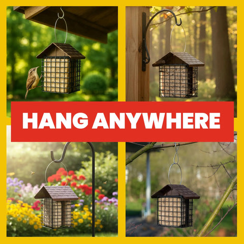 Double Suet Cake Feeder With Weather Guard Built To Last Steel Construction Black Powder Coat Finish Holds Two Suet Cakes To Attract Woodpeckers And Backyard Birds Weatherproof Bird Feeder For Year Round Feeding Measures 6.75 By 5 By 7 Inches shown hanging in garden settings