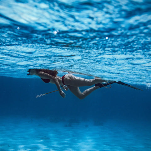 Underwater diver holding Spearfishing Pole Spear With Single Flopper Tip For Lionfish And General Hunts Replacement Tips