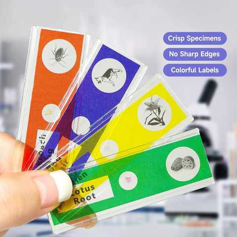 48 Piece Prepared Microscope Slides Set for Stereo Microscope, Plant Insect and Animal Tissue Specimens, Ideal Education Tool for Classrooms and Home Science Labs, colorful slide cases