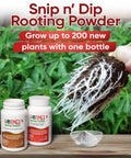 Rooting Hormone Powder For Plant Cuttings 0.80-1.60% IBA, Semi-Hardwood Starter, Speeds Up Root Growth For Any Plant Varieties, Ready-To-Use Pack For Faster Rooting Results In All Plant Types. Two rooting powder bottles, powder dish, and rooted cutting