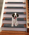 Bullnose Carpet Stair Treads 14 Piece Indoor Set Soft Non Slip Self Adhesive Stair Protectors Pet Friendly Rugs Covers Mats Skid Resistant Washable Rubber Backing Dark Grey 9.5 x 30 x 1.2 Inches on staircase with dog