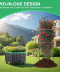 Raised Garden Bed With Self Watering Planter Box And Trellis For Climbing Plants showcasing two-in-one design in a yard