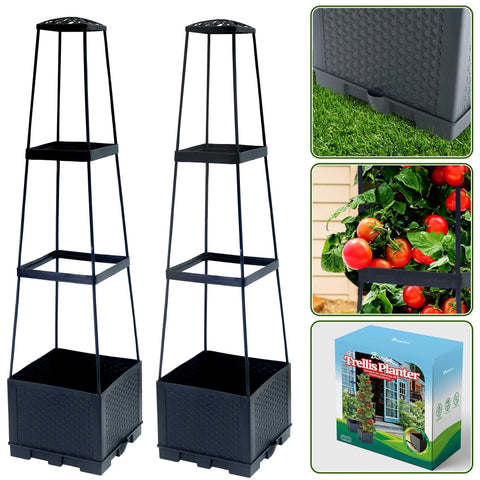 Two Pack Raised Garden Bed Tomato Planter Box With Trellis, 44.8 Inch Self Watering Cage shown with trellis and boxed packaging