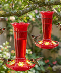 10 Oz Glass Hummingbird Feeder Set Two Pack For Outdoors Hanging Red Ant And Bee Proof With Six Feeding Ports