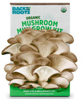 Front view of Organic Mini Mushroom Grow Kit for Gourmet Oyster Mushrooms for easy at-home harvest and unique gardening gift.
