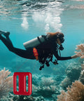 Diver wearing Two Pack Red Diving Weight Belt Set with Vinyl Coated Lead Weights 1 Lb Each 0.5 Kg exploring coral reef