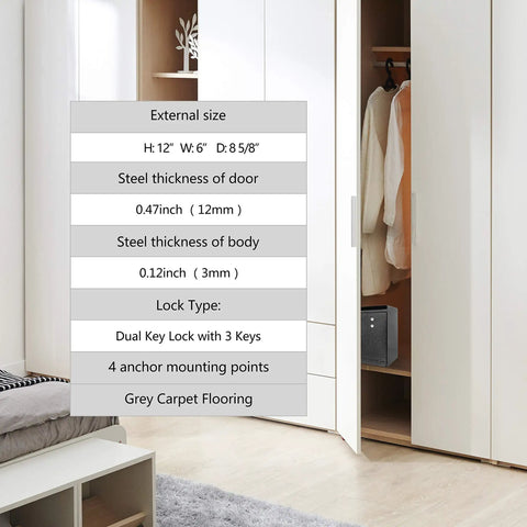 Dual Key Deposit Safe With One Way Drop Slot for Cash Keys and Paperwork in an open closet, focus on specifications chart