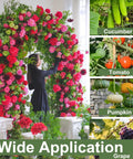Heavy Duty 80 Inch Tall Garden Arch Trellis For Climbing Plants Outdoor Metal Vine Support with vibrant flowers and plant examples