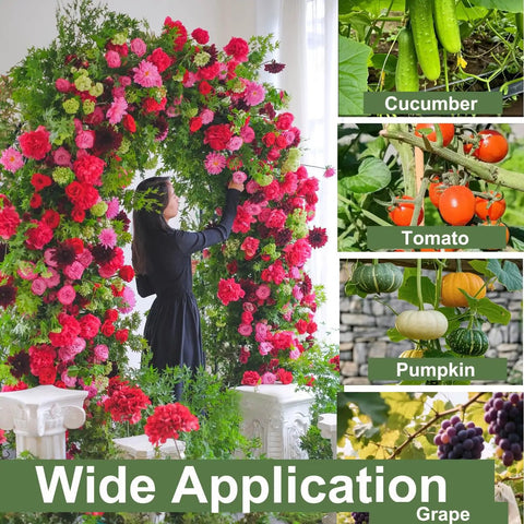 Heavy Duty 80 Inch Tall Garden Arch Trellis For Climbing Plants Outdoor Metal Vine Support with vibrant flowers and plant examples
