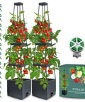 Two Pack Raised Garden Bed Planter Box With Trellis For Climbing Vegetables And Tomatoes 58 Inch Tomato Cage Planter With No Fuss Self Watering System For Indoor And Outdoor Use Easy Setup.
