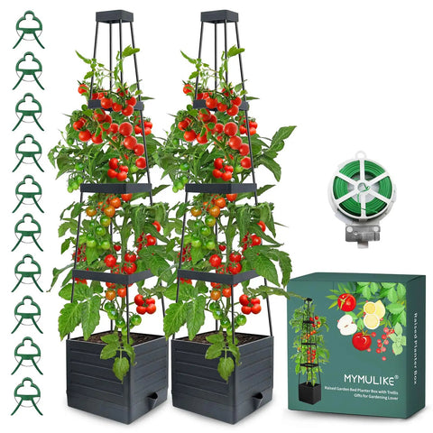 Two Pack Raised Garden Bed Planter Box With Trellis For Climbing Vegetables And Tomatoes 58 Inch Tomato Cage Planter With No Fuss Self Watering System For Indoor And Outdoor Use Easy Setup.