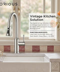 FORIOUS Kitchen Faucet with Pull Down Sprayer, Lead-Free Stainless Steel in a vintage kitchen setting with flowers.