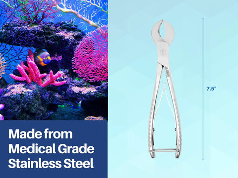 7.5 Inch Crescent Style Coral Cutters Heavy Duty Pro Grade Medical Grade Stainless Steel Fragging Tool next to colorful aquarium