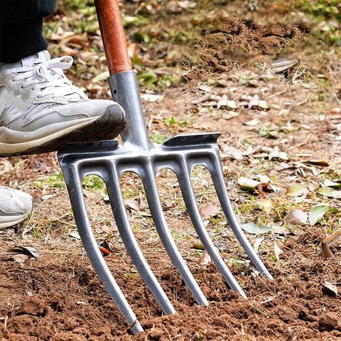 Man using Heavy Duty High Carbon Steel Garden Fork With Five Tines Anti Breakage Spading Fork For Farms And Ranches Sturdy Digging Tool