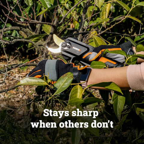 20V Nitro Pruning Shear And Lopper WG330 Cordless With Titanium Plated Blade in use on green shrub branch