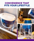 Collage of 7-Cup Water Filter Pitcher With Faster Filtration, LockFit Cap in fridge, pouring water, and on counter