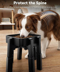 Border Collie using Fully Adjustable Extra Large Dog Bowl Stand For Big Paws, featuring raised bowl for comfortable eating.
