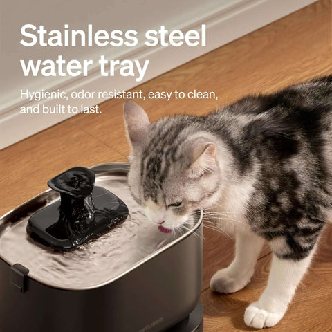 Cat drinking from a cordless battery operated cat water fountain with 2.5L capacity 84oz stainless steel tray BPA free easy to clean