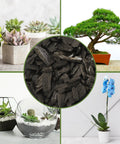Hardwood Charcoal Soil Additive For Indoor Plants 2 Quarts Perfect For Orchids Terrariums And Gardens Boosts Drainage